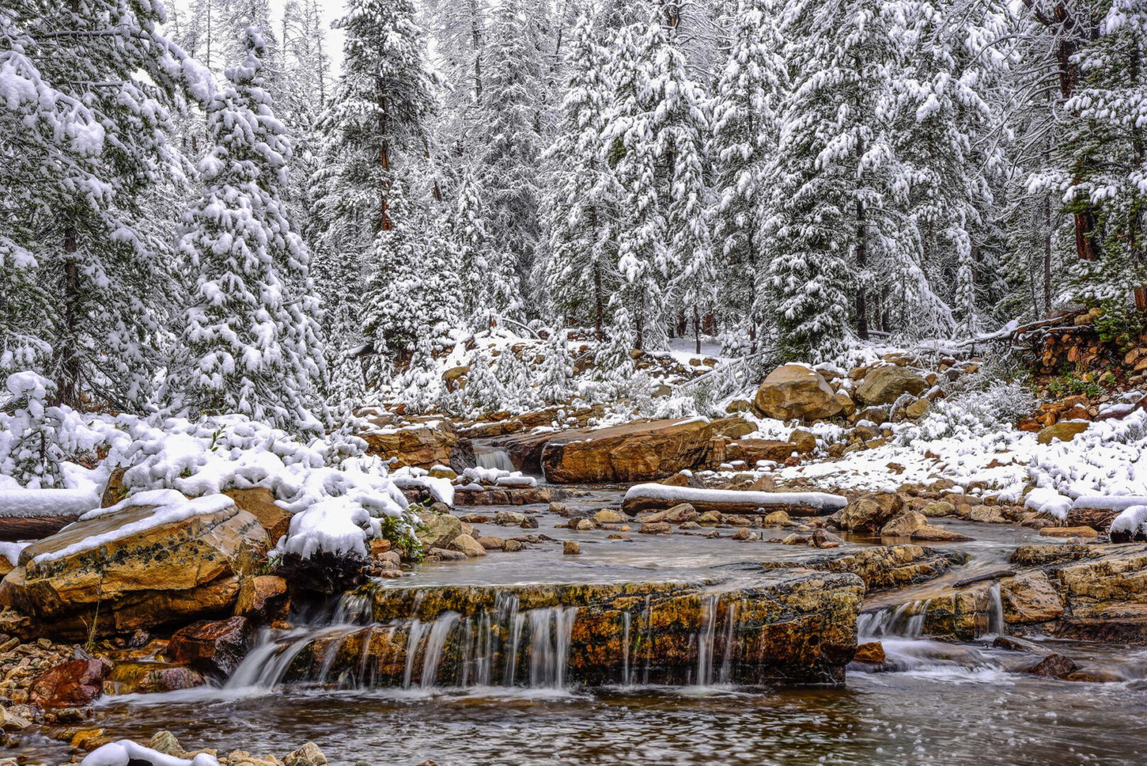 A waterfall in the middle of a forest covered with snow.